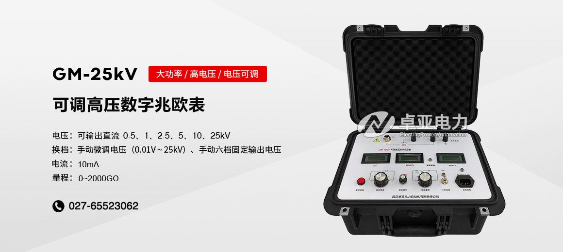 25kV可調(diào)高壓數(shù)字兆歐表 25kV可調(diào)高壓數(shù)字兆歐表