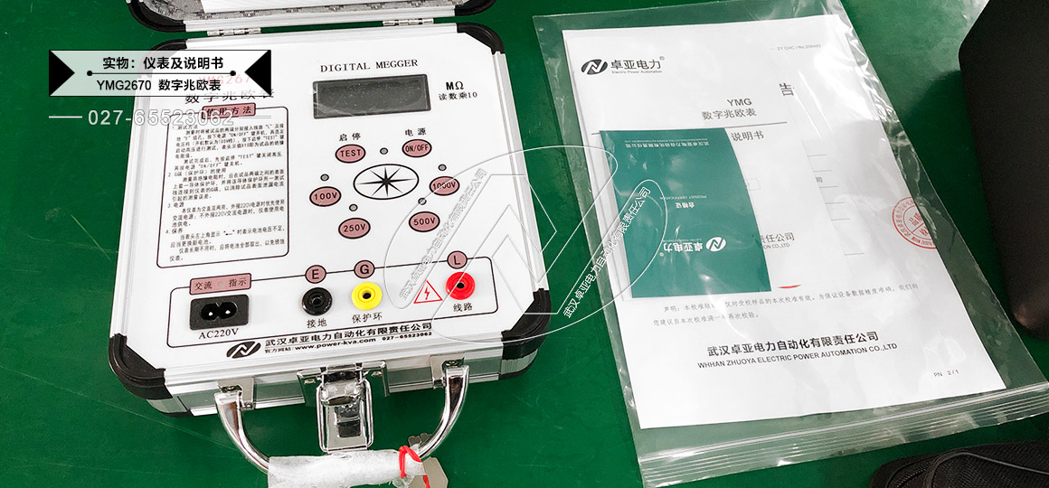 100V/250V/500V/1000V(sh)ךW - xf