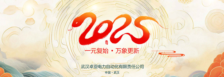 2025׿˾Ԫż֪ͨ