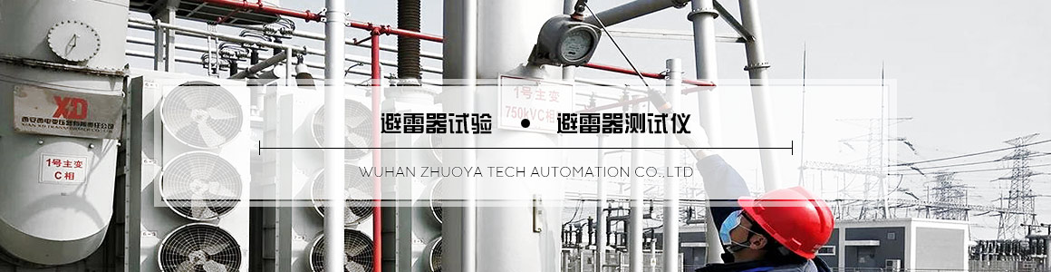 氧化鋅避雷器測(cè)試儀 氧化鋅避雷器測(cè)試儀